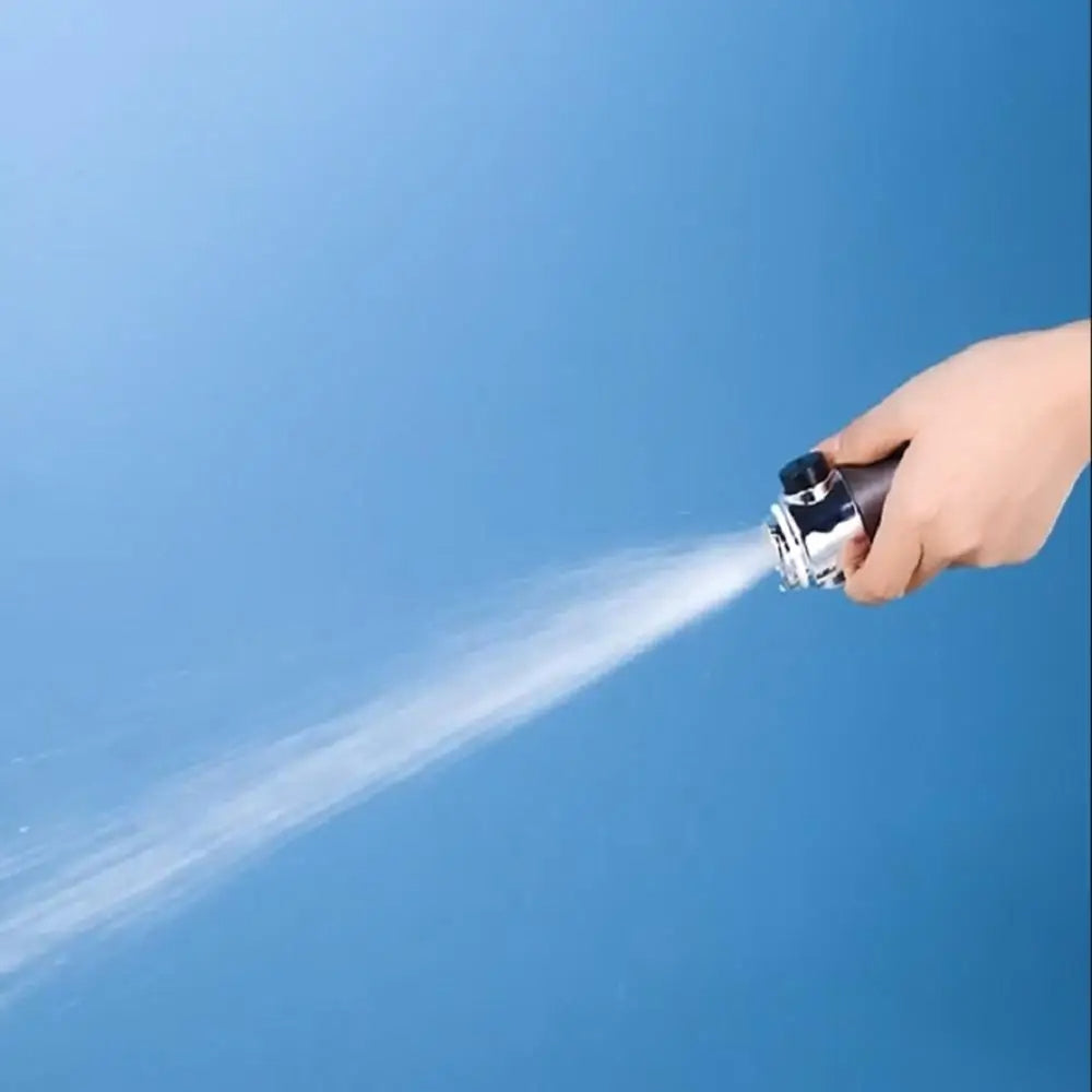 Shower Head with Filter